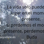 Buda - momento presente - Frases